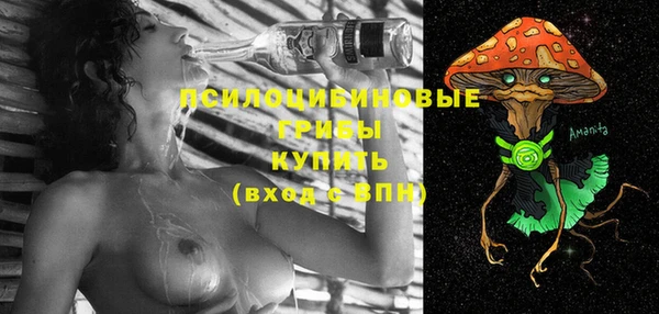 ешки Богородицк
