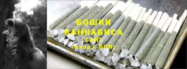 дживик Белокуриха