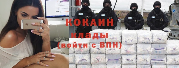 стафф Богданович